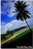 หาดเตยงาม