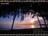 หาดชลาทัศน์