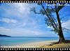 หาดในยาง อุทยานแห่งชาติสิรินาถ