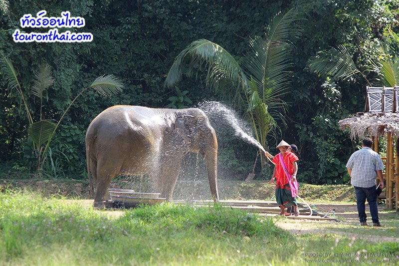 Elephant Hills